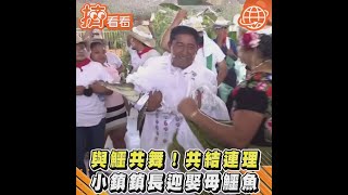 與鱷共舞！共結連理 小鎮鎮長迎娶母鱷魚｜TVBS新聞｜擠看看 #Shorts