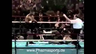 Mike Tyson vs Tommy Morrison Boxfights