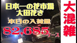 花の仕入れ【最大量】東洋一の花市場　年末の様子です。　花屋さんも最大量の仕入れ