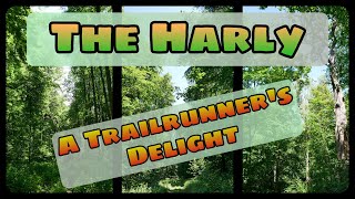 A Trailrunner's Delight - The Harly - POV Cardio Workout Support for Treadmill, Elliptical, etc.