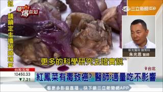 20170718【最HOT爆你知】驚!紅鳳菜有毒? 吃多肝硬化甚至致癌?│三立新聞台