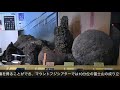 道の駅なるさわ 富士山博物館 2020.1.30 4k