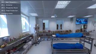 Introducing ALI (the Anatomy Laboratory Interface)