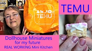 Tiny Temu Kitchen Miniatures for my FUTURE REAL WORKING Tiny Kitchen