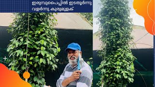 കുമ്പുക്കൽ കൃഷിരീതികൾ നേരിട്ട് വന്നു മനസ്സിലാക്കി എബ്രഹാം മത്തായി.