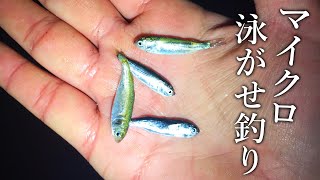 【回遊魚が入れ食い！】漁港で捕まえた小魚の釣魚力が凄過ぎた…［マイクロ泳がせ釣り］