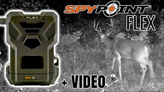 SPYPOINT FLEX | Field Review \u0026 Trail Cam Video COMPILATION!