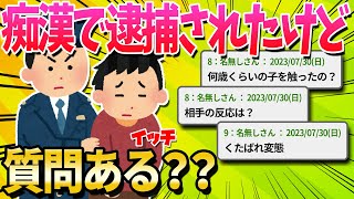 【2ch面白いスレ】痴漢で逮捕されたことあるけど質問ある？？【ゆっくり解説】