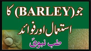 Use and Benefits of Barley | Jo ke Faide in Urdu | Abdul Rahman | Black Magic | RGA