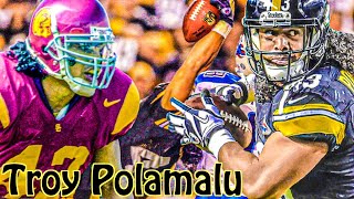 Troy, The Trojan Of Steel - Troy Polamalu Career Highlights