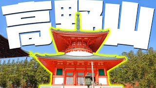 【高野山観光】壇上伽藍を散策