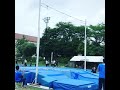 林大樹（日本体育大学） 棒高跳 5m30