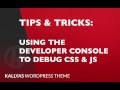 Using the developer console to debug CSS or JS ( Kallyas WordPress theme v4.0 )