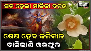 ଓଉ ଗଛରେ ଫୁଟିଛି ଫୁଲ...କଳିଯୁଗରେ ସବୁକିଛି ହେବ ଆଶ୍ଚର୍ଯ୍ୟ, ପ୍ରକୃତି ଦେଖାଉଛି ତା’ର ବିଚିତ୍ର ରୂପ...