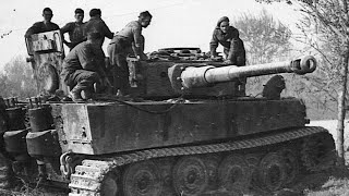 Busting Tank Myths: Tiger