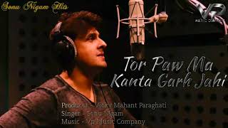 Tor Paw Ma Kanta Garh Jahi Cg Song | Sonu Nigam Cg Song | Chhattisgarhi Gaana