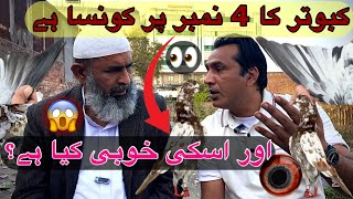 ustad imran ne kabootar ky 4 number par ki khubi aur khami bata de || @amjadaliofficial528