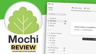 Mochi: Full Review (2020)