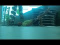 FlexibleStrenght Coach Daniel Rosito