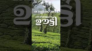 നെല്ലിയാമ്പതി, പാവങ്ങളുടെ ഊട്ടി #viralshorts #viralvideo #natualbeauty