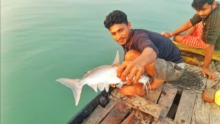 পৌষ পোরা ; গোনে বড়শিতে অনেক মাছ পেলাম!! 😲😲🤷‍♂️@ZEROPOINTSUNDARBAN