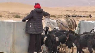 בעקבות הנבטים - בורות המים בדרך הבשמים