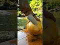 The fastest trick for peeling young coconuts #asmr #satisfying