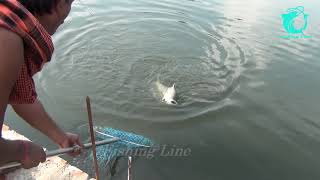 চিনসুরা পুকুরে মাছ ধরা  | Fishing at Chinsurah Pond | Fishing Line