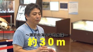 瀬戸内海展ギャラリートーク(2017.8.12)「瀬戸内海の海底の地形」