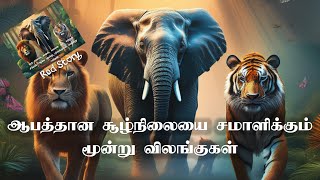 யானை புலி சிங்கம் Story Tamil _-_  ஆபத்தான சூழ்நிலையை சமாளிக்கும் மூன்று விலங்குகள்