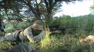 Red Stag and Fallow deer hunt in La Pampa, Argentina