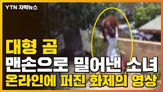 [자막뉴스] 대형 곰 맨손으로 밀어낸 17살 소녀...온라인에 퍼진 화제의 영상 / YTN