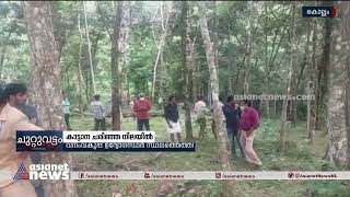 കൊല്ലത്ത് കാട്ടാനയെ ചരിഞ്ഞ നിലയില്‍ കണ്ടെത്തി