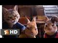 Peter Rabbit 2: The Runaway (2021) - Stopping the Thieves Scene (10/10) | Movieclips