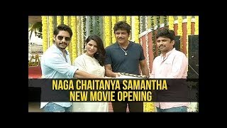 Naga Chaitanya Samantha New Movie Opening MAJILI | #NC17 Launch | Akkineni Nagarjuna