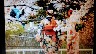 【古都京都・Ancient City Kyoto】世界遺産の多い都・ワンシーン動画です!【BGMも楽しんで下さい】#1（Many world heritage towns）説明欄の京都情報もご覧下さい