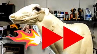 Taxidermy Time Lapse 9