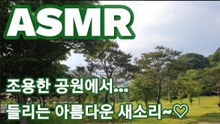 ASMR 조용한 공원에서 들리는 새소리//(Silent park birdsong)