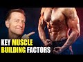 The MOST Important Factors in Building Muscle–Beyond Dietary Protein