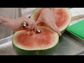 drunken watermelon slices and cocktails