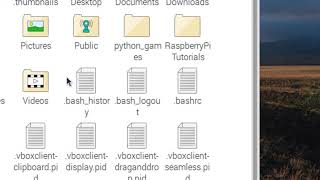 Raspberry Pi Python Update