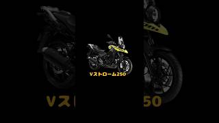 【バイク】４０代に，乗ってほしいオフロードバイクとは？(400cc以下)#vストローム250#DF125E#セロー250 #CRF250l