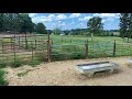 horse farm for sale in arkansas.