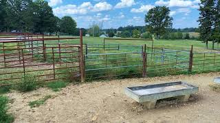 Horse Farm for Sale in Arkansas.