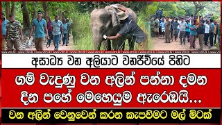 ගම් වැදුණු වන අලින් පන්නා දමන දින පහේ මෙහෙයුම ඇරෙඹයි...