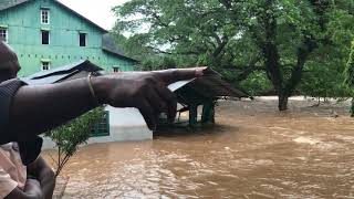 maniyar dam  floods