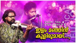 Ilam Manjin Kulirumayoru  | Fusion Song 2021 | Malabar Cafe Musical Band | ഇളം മഞ്ഞിൻ കുളിരുമായൊരു..