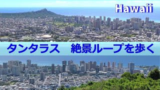 【ハワイ】ハイキングトレイルを歩く 3【タンタラスの丘】