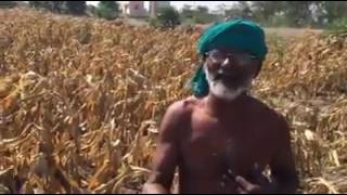 அனைத்து  விவசாயி கண்ணீர் .....save farmer.....