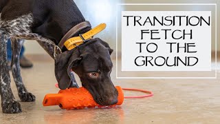 Trained Retrieve Step 19 - Transition Fetch To The Ground